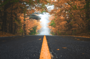 Jeffrey D Martin Travel